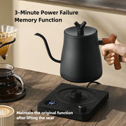 Smart Gooseneck Electric Kettle, Pour Over Coffee Tea, Temp Control & Hold, 1L 304 Stainless Steel,Matte Black 110V/220V