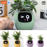 Tuya Ivy Smart Planter – AI Plant Pot with 49 Expressions & 7 Sensors