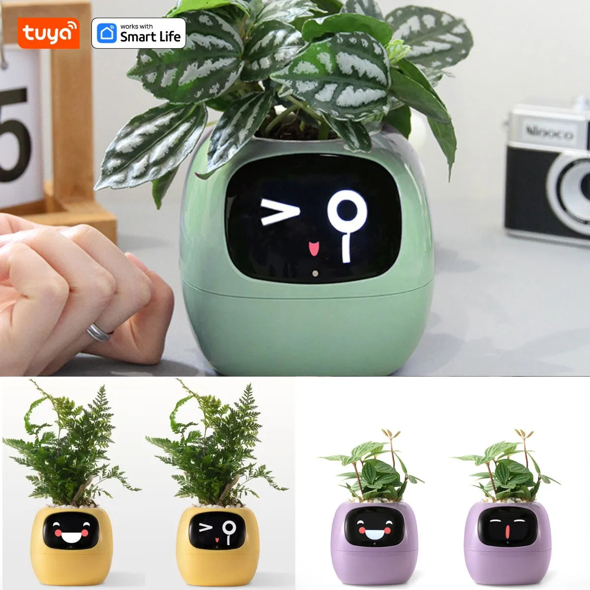 Tuya Ivy Smart Planter – AI Plant Pot with 49 Expressions & 7 Sensors