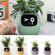 Tuya Ivy Smart Planter – AI Plant Pot with 49 Expressions & 7 Sensors
