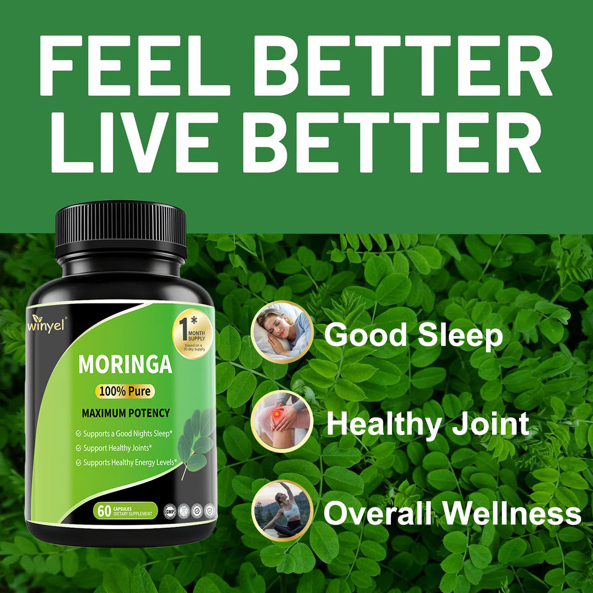 Pure Moringa Capsules – High Potency 60 Caps with Vitamins & Amino Acids